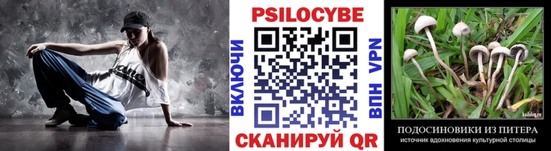 Галлюциногенные грибы прущие грибы  Тобольск 
