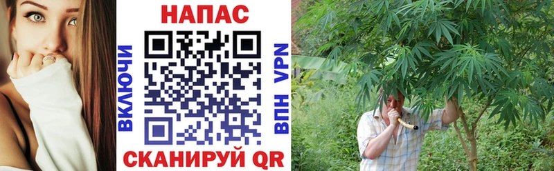 OMG как войти  где найти наркотики  Тобольск  Канабис Amnesia 
